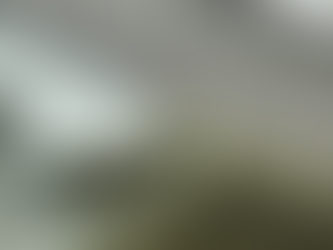 Why Regular Gutter Cleaning Can Save Your Roof in North Georgia