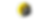 FLOWER 3.png