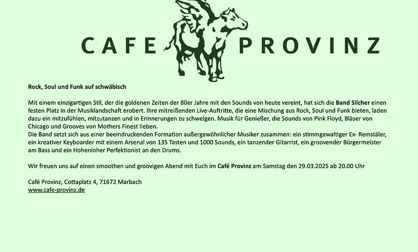 Cafe Provinz Gig_edited.jpg