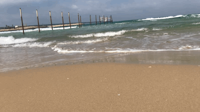 ים בגיף.gif