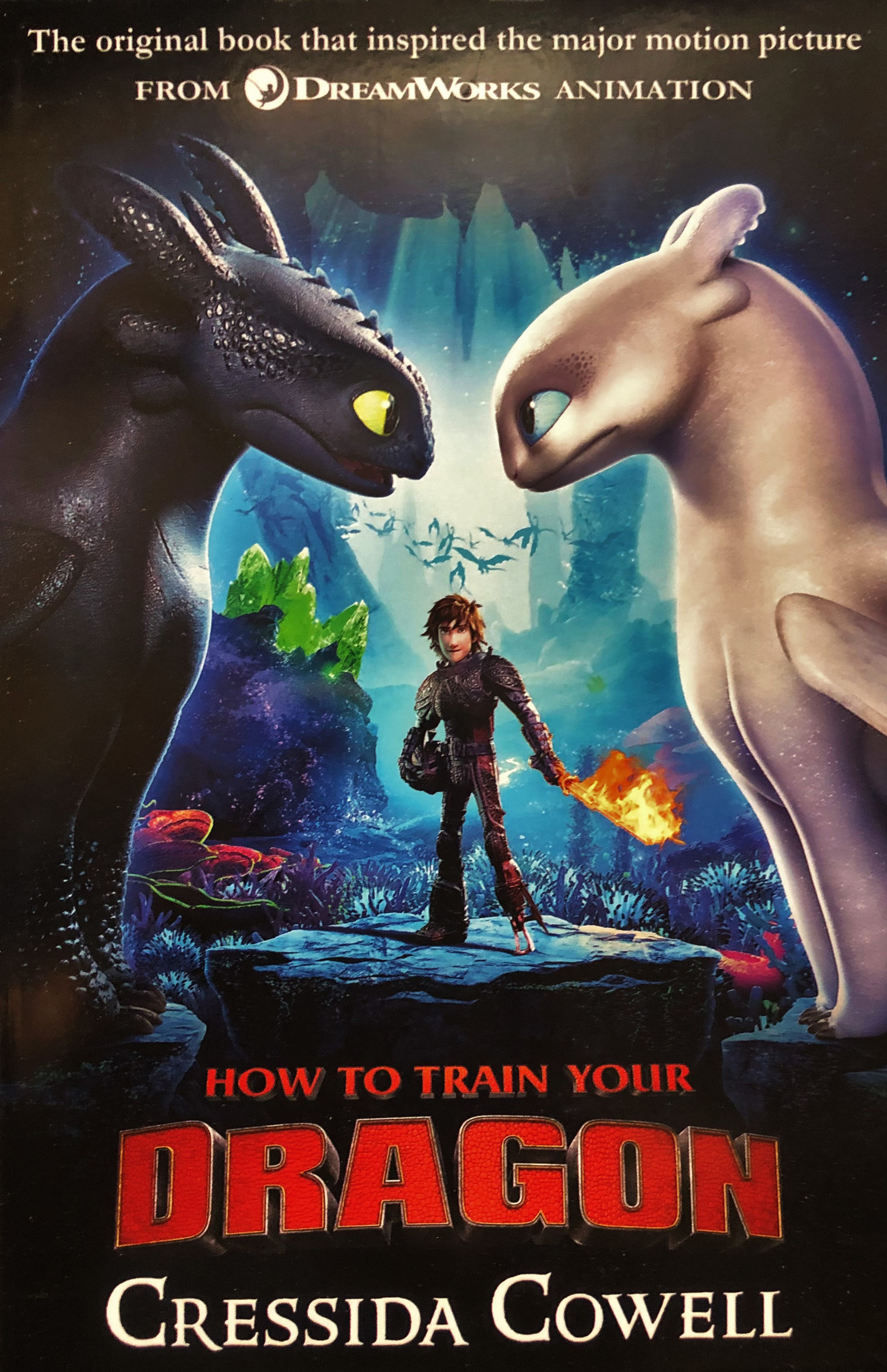 How to Train Your Dragon FILM TIE IN (3RD EDITION)