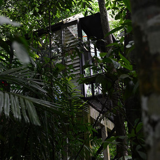 Glass box cabin forest retreat at Sekeping Serendah outside Kuala Lumpur, Malaysia