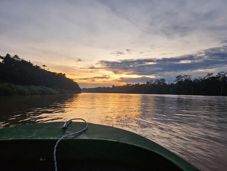Sunrise during a river safari cruise along the Kinabatangan River in Borneo, Malaysia