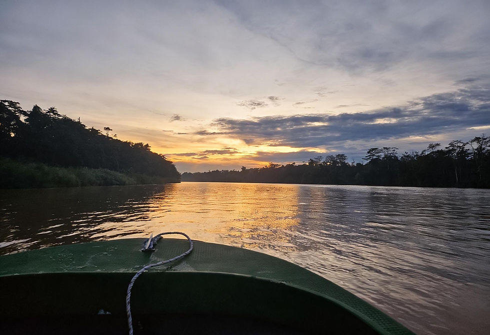 Sunrise during a river safari cruise along the Kinabatangan River in Borneo, Malaysia
