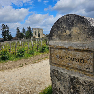 Vineyards of Saint-Émilion, Bordeaux, France
