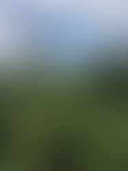 Where Did the Time Go?