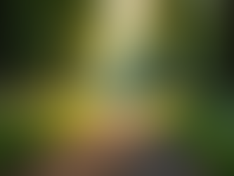 Lebensberatung: Ein Schritt zu innerer Klarheit