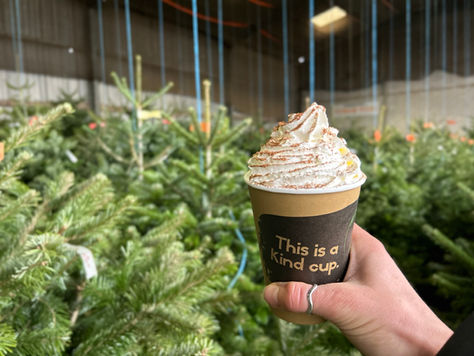 LOOKING AFTER YOUR CHRISTMAS TREE 🌲