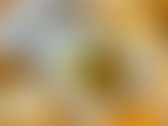 WE ARE RECRUITING A CAFE HEAD CHEF