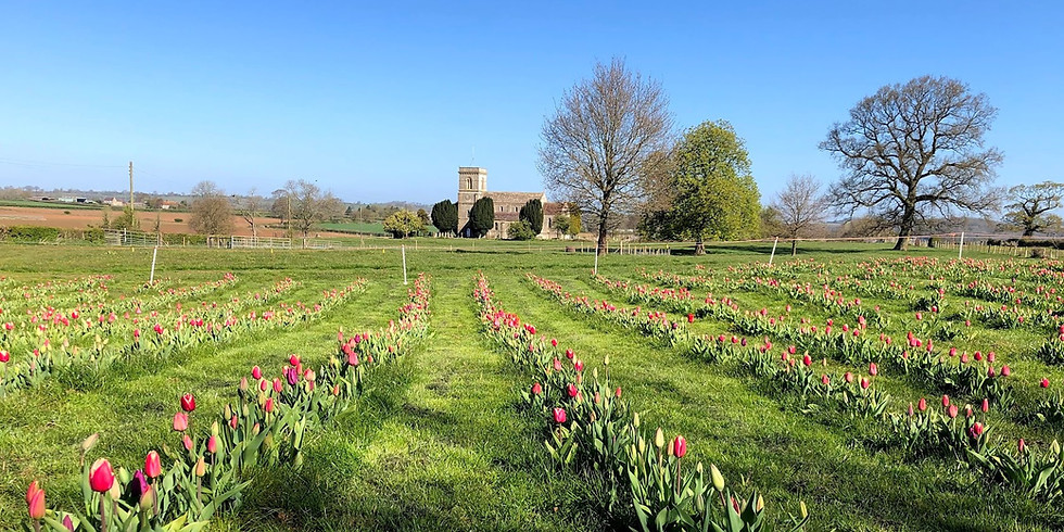 Farrington's Farm Shop