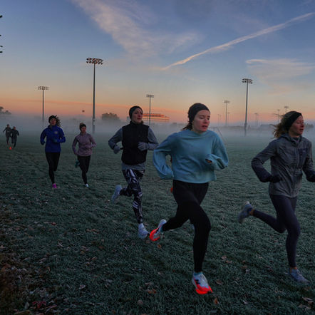 Newsletter: November 14, 2025