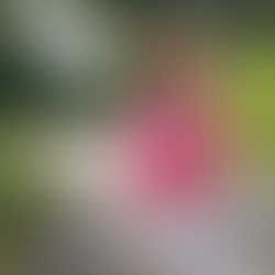 Newsletter: September 1, 2023