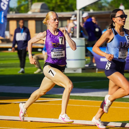 Newsletter: November 22, 2024