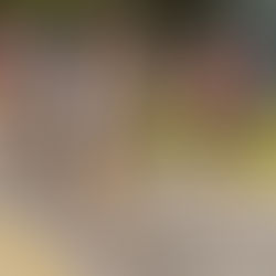 Newsletter: December 27, 2024