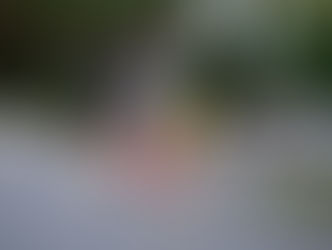 Newsletter: October 17, 2025