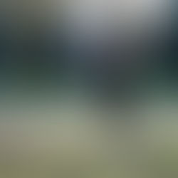 Newsletter: May 31, 2024