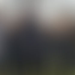 Newsletter: November 19, 2021