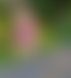 Newsletter: August 11, 2023