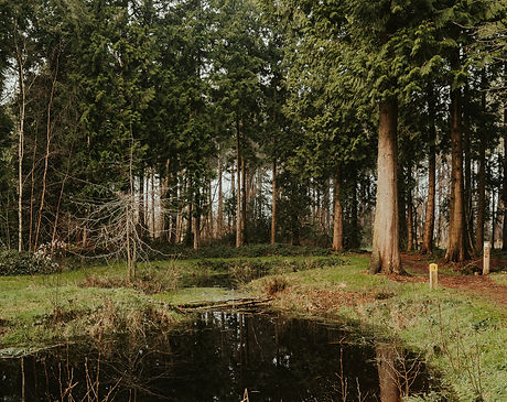 AR400050(2000px).jpg