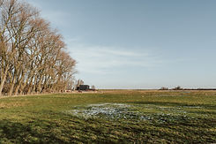 _A710070(2000px).jpg