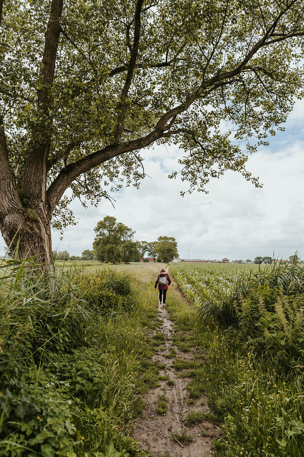 DRIE GRACHTEN ROUTE