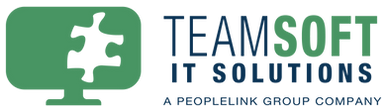 TeamSoft Logo