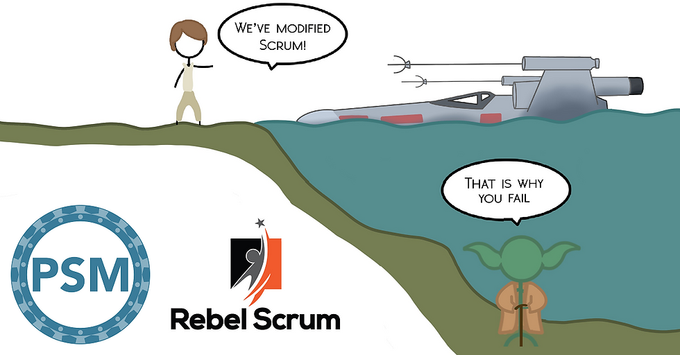 Professional Scrum Master (PSM) certification