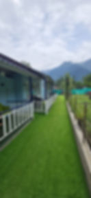 Green lawn path beside white fenced cottages with mountain view