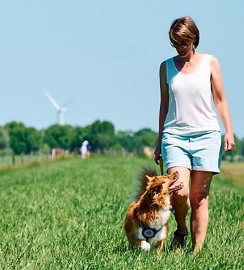 Katharina Günter, Biografin bei Wort-Welle, spaziert mit ihrem Hund auf einem Deichweg durch eine grüne Landschaft