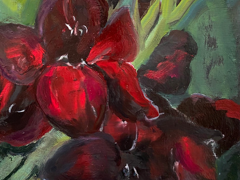 Black Iris