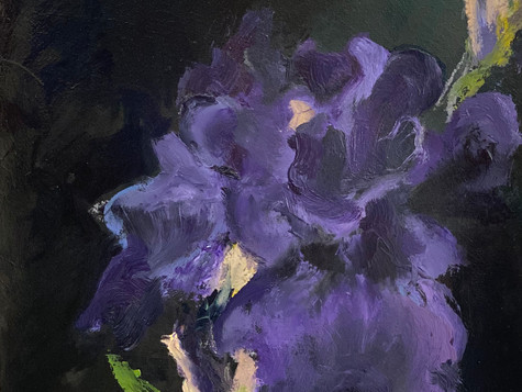 PurpleIris, 10 x 13, Oil on Paper, 5-20