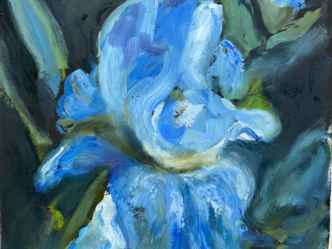 Blue Iris, 10 x 13, oil on paper, 5-20.jpeg