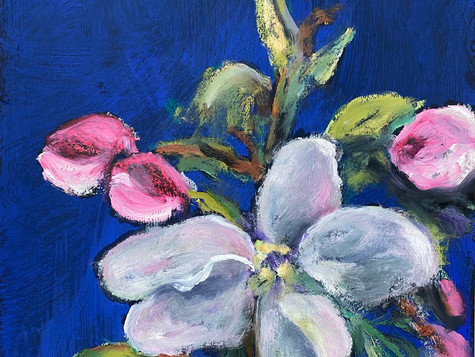 Apple Blossoms #1, 10 x 12, 5-20