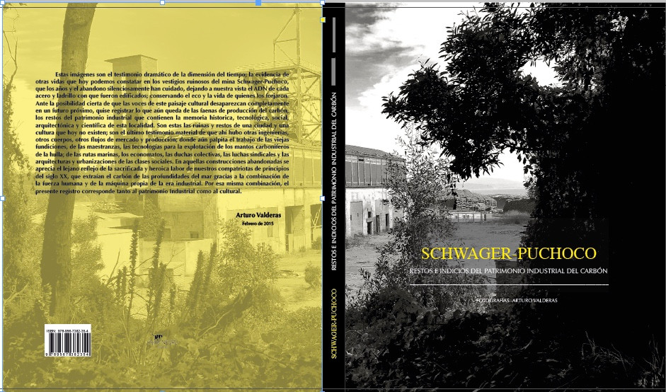 2da edición Schwager-puchoco.jpeg
