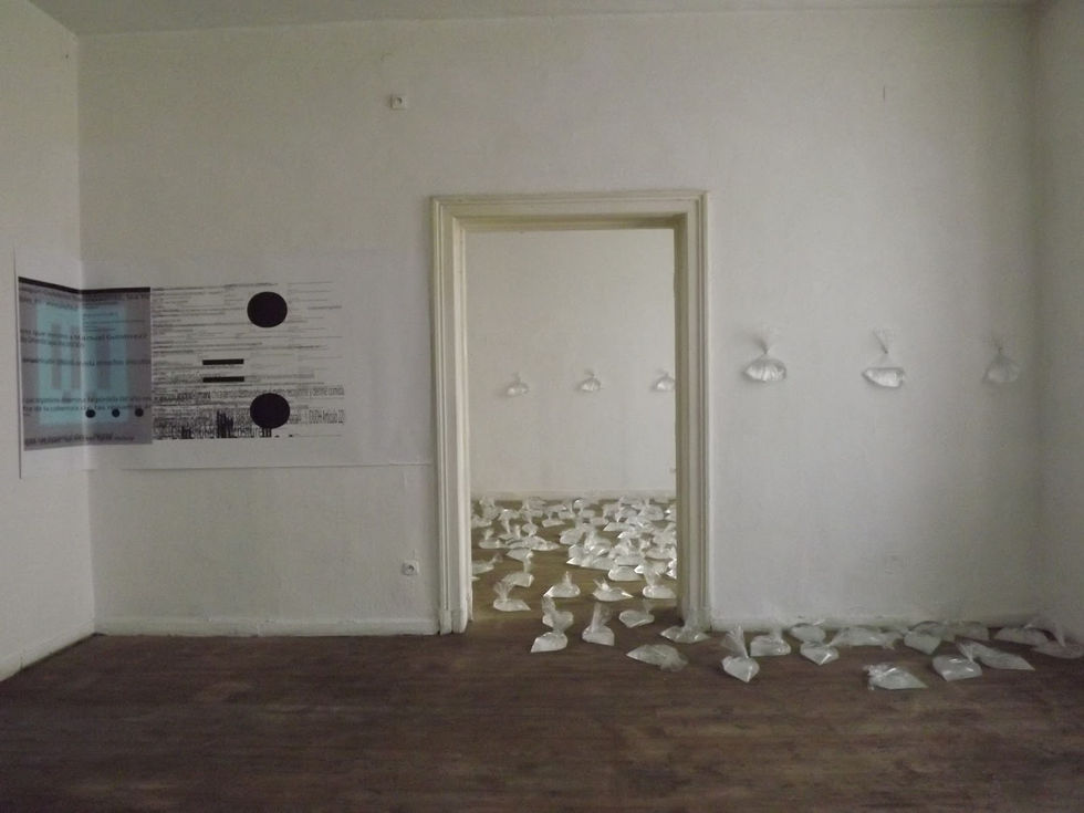 Curadores: Arkadiusz Sylwestrowicz, Adam Klimczak.