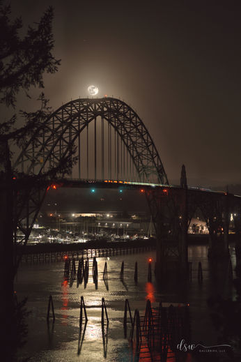 bridge and full moon