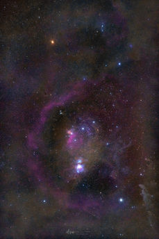 Orion