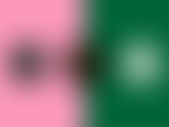 Inter Miami and Palmeiras