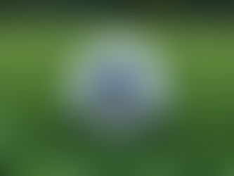 Soccer Ball