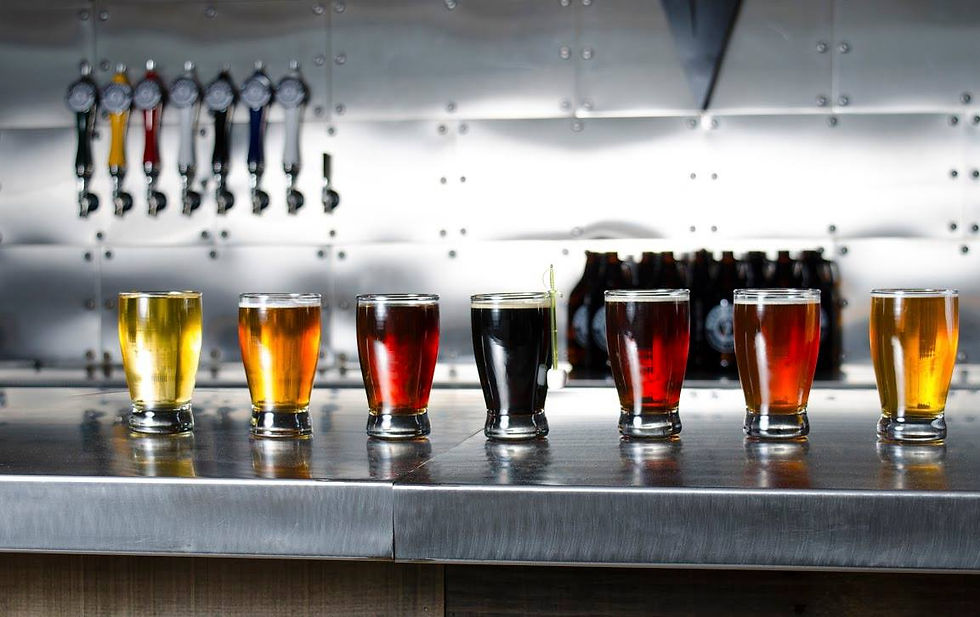 Bar Flight