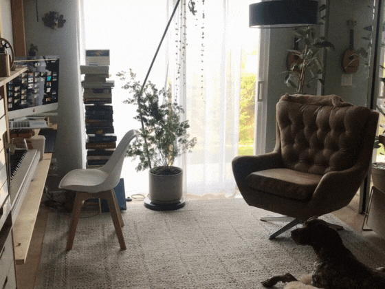 Untitled design (3).gif