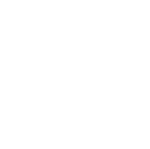 Simple Vibes Photography Logo