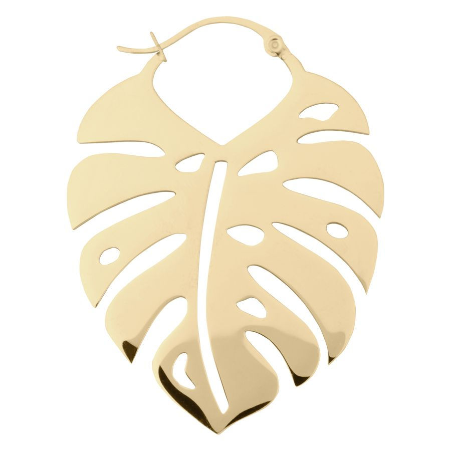 Μικρογραφία: MONSTERA HOOPS ZIRCONLINE