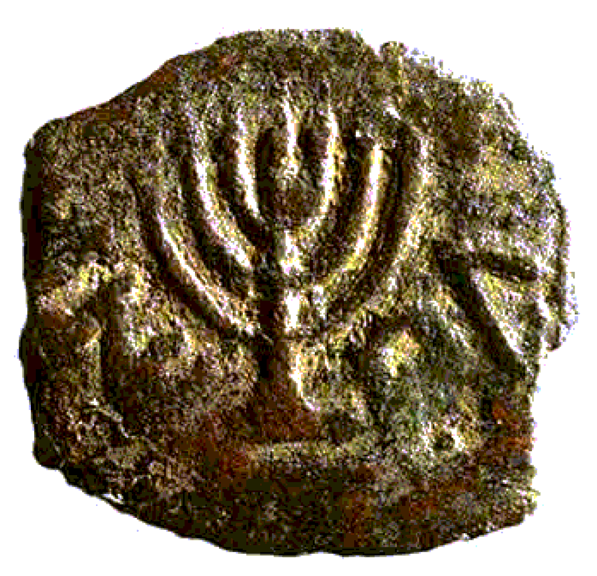 Ancient_Menorah_Coin wikimedia commons.gif