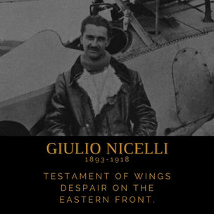 Guilio Nicelli young Italian ace Testament of wings - Despair on the Eastern Front.