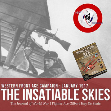 The Insatiable Skies: The Journal of World War I Fighter Ace Gilbert Hay De Slade