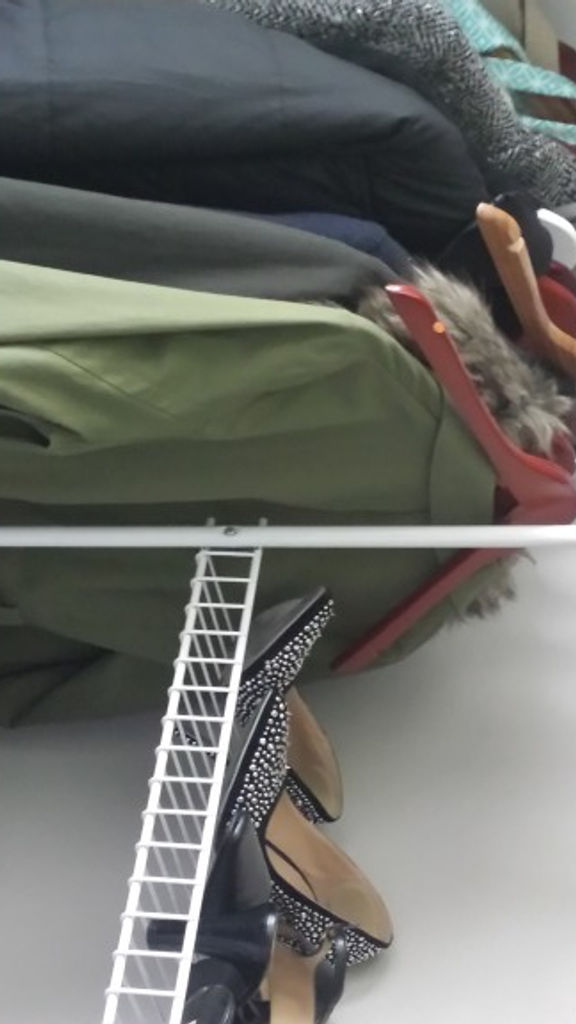 2nd Bedroom Closet Shelving