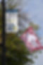 Spartan Flags.jpg