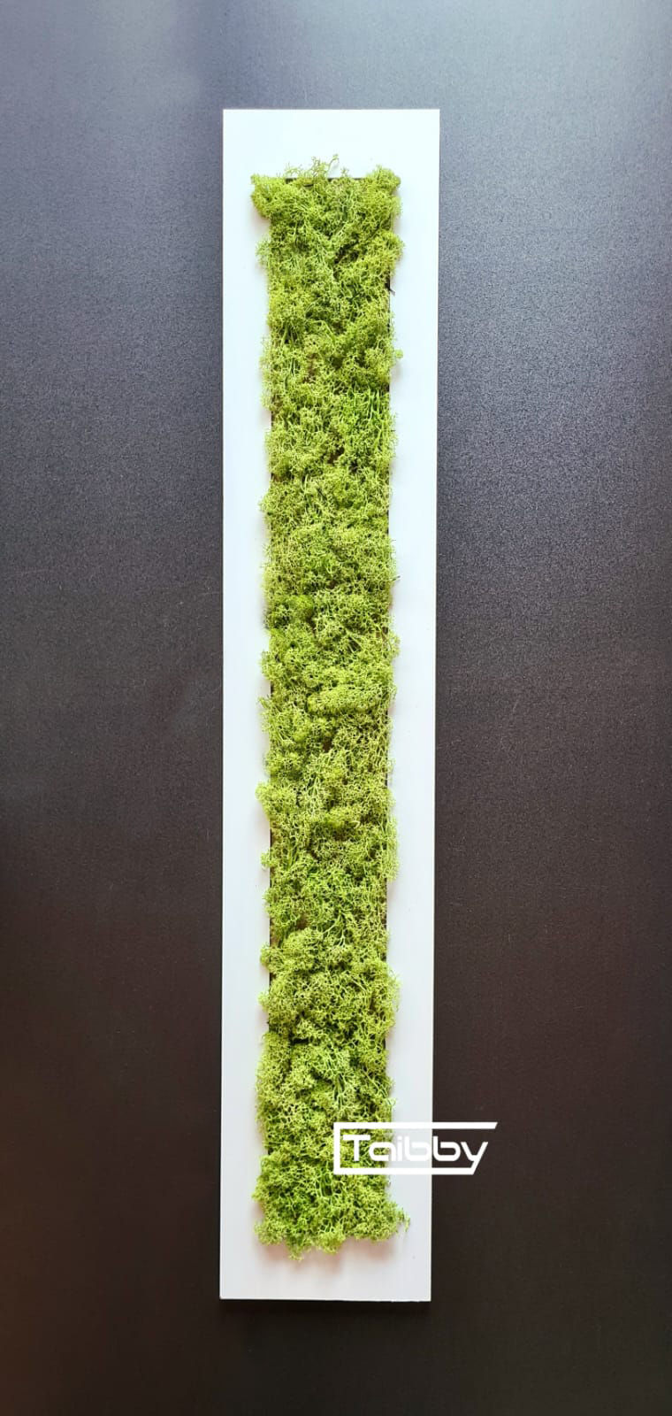 Miniature : Decorazione da Parete Rettangolare con Muschio – Design Naturale ed Esclusivo