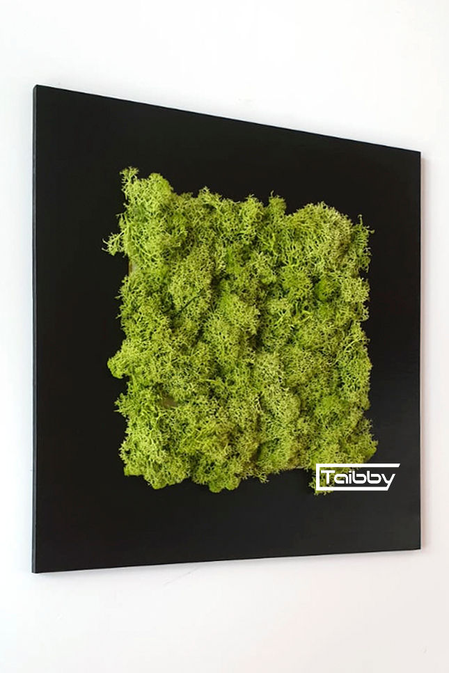 Miniatura: Decoración de pared de musgo cuadrado